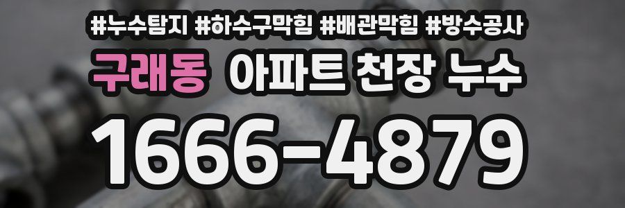 구래동 아파트 천장 누수