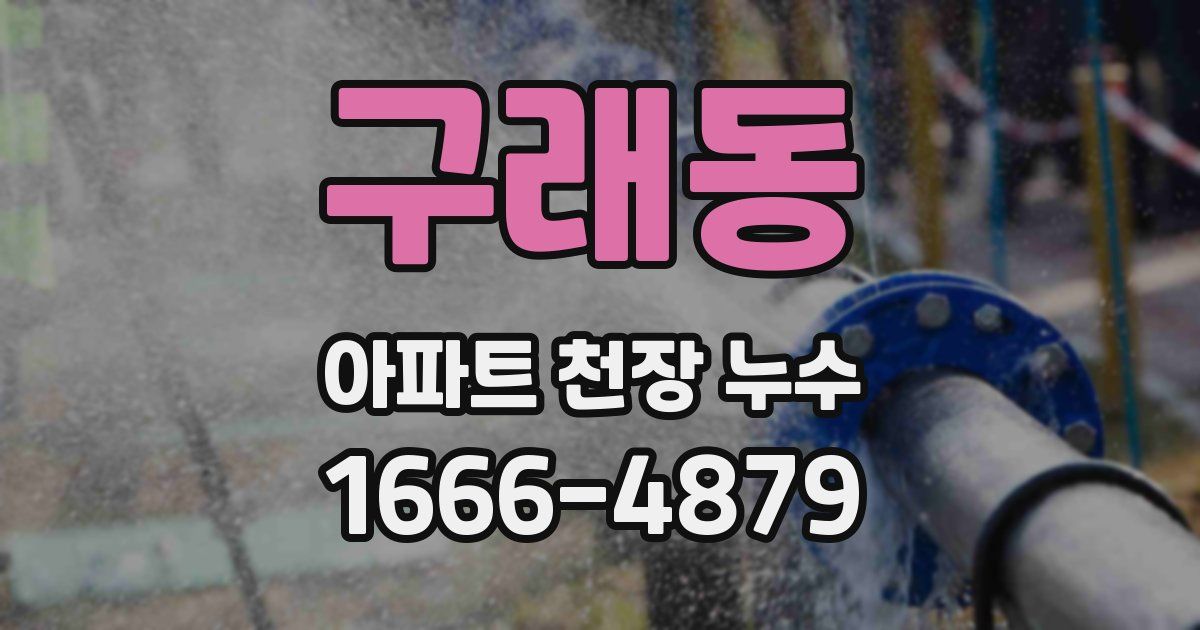 구래동 아파트 천장 누수
