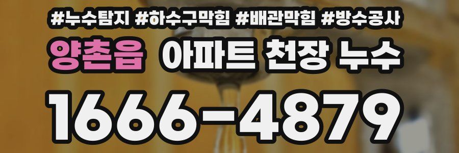 양촌읍 아파트 천장 누수