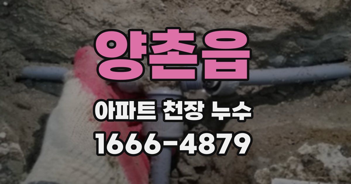 양촌읍 아파트 천장 누수