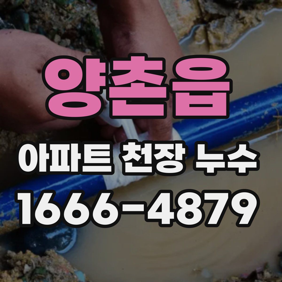 양촌읍 아파트 천장 누수