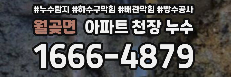 월곶면 아파트 천장 누수