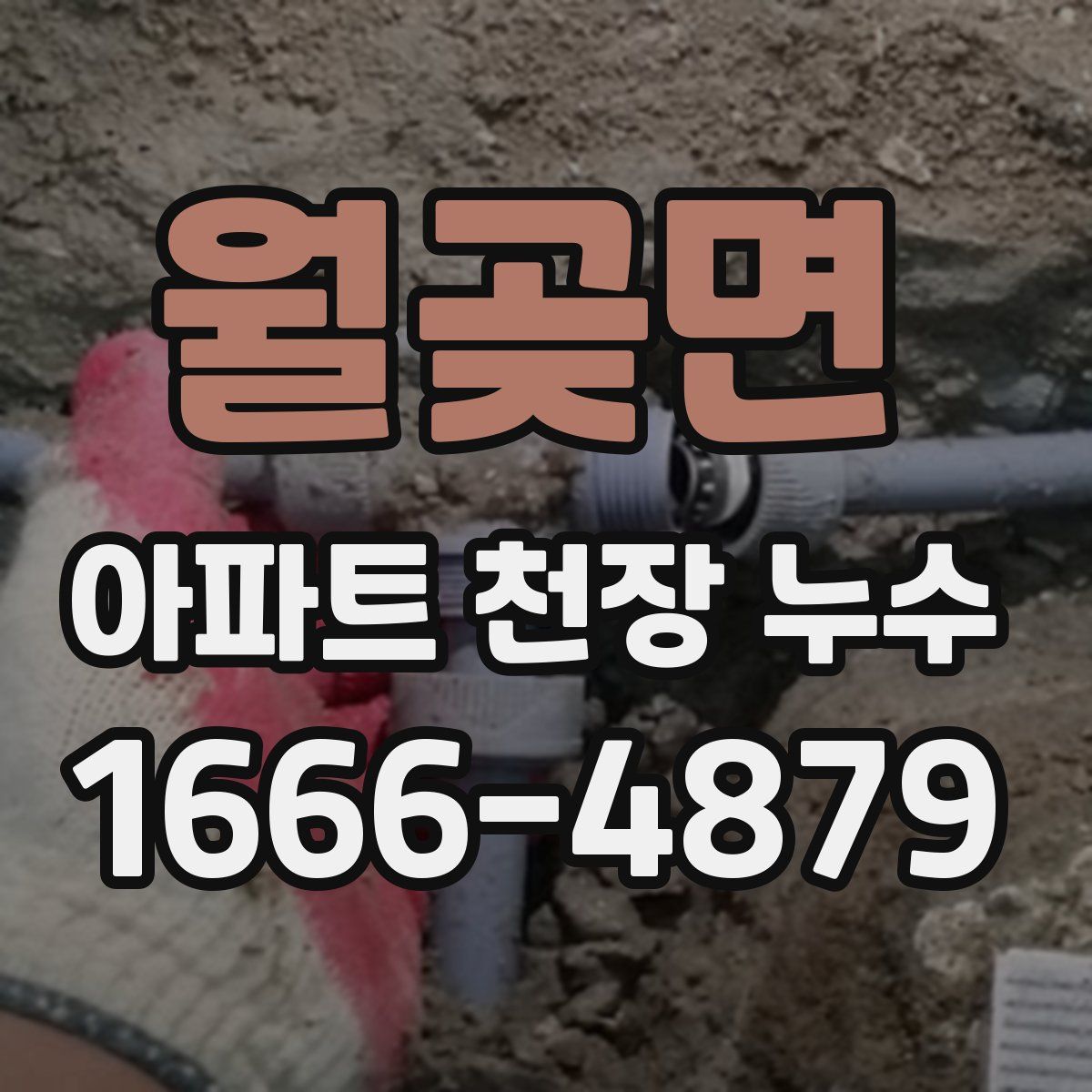 월곶면 아파트 천장 누수