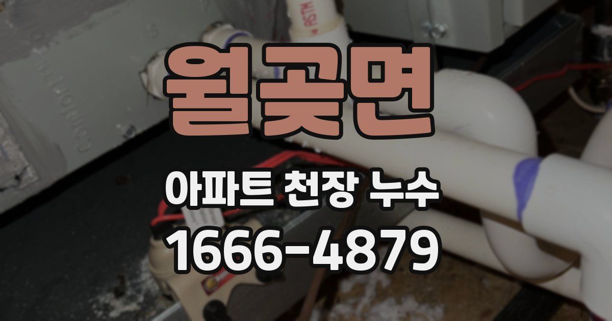 월곶면 아파트 천장 누수