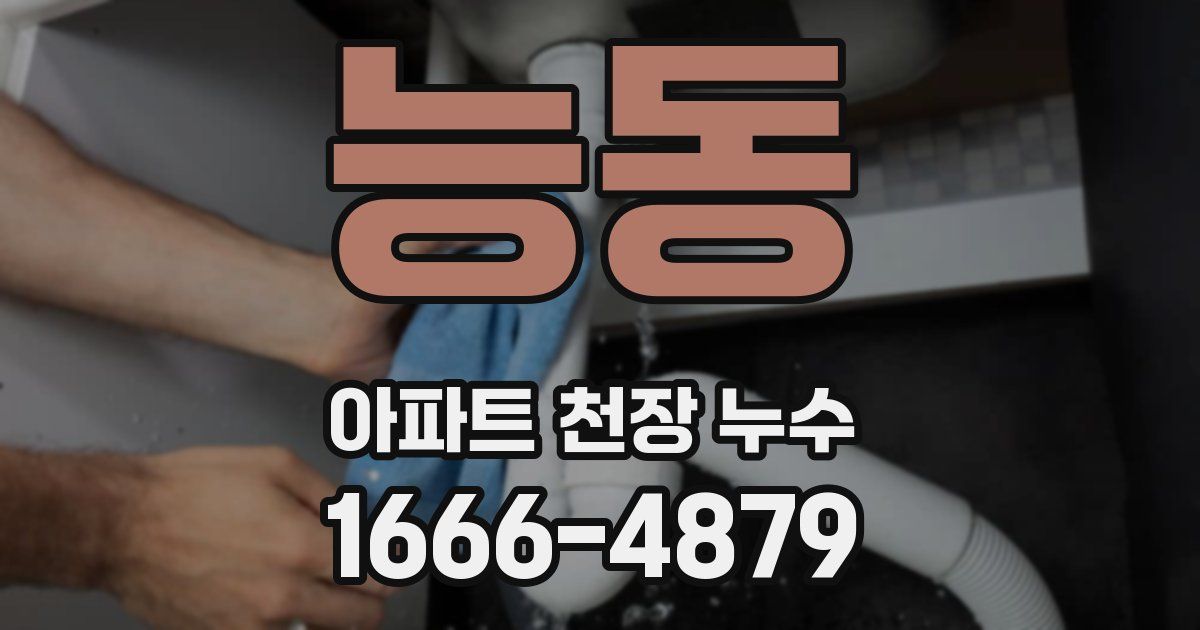 능동 아파트 천장 누수