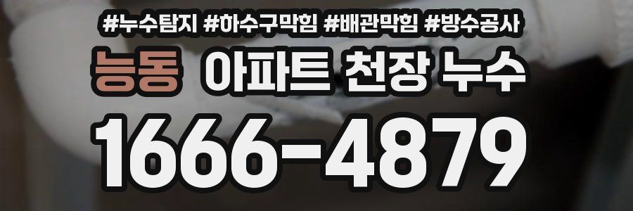 능동 아파트 천장 누수