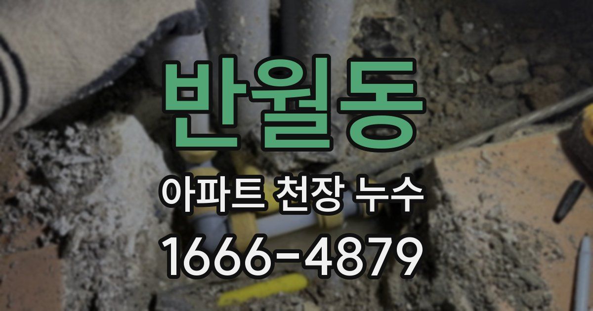 반월동 아파트 천장 누수