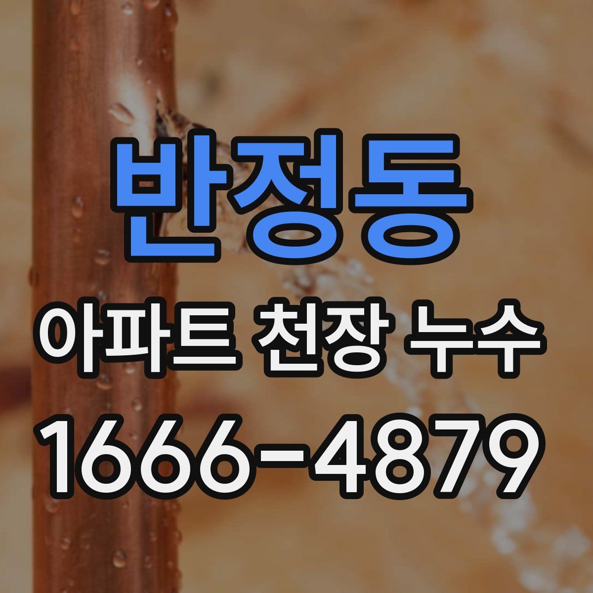 반정동 아파트 천장 누수