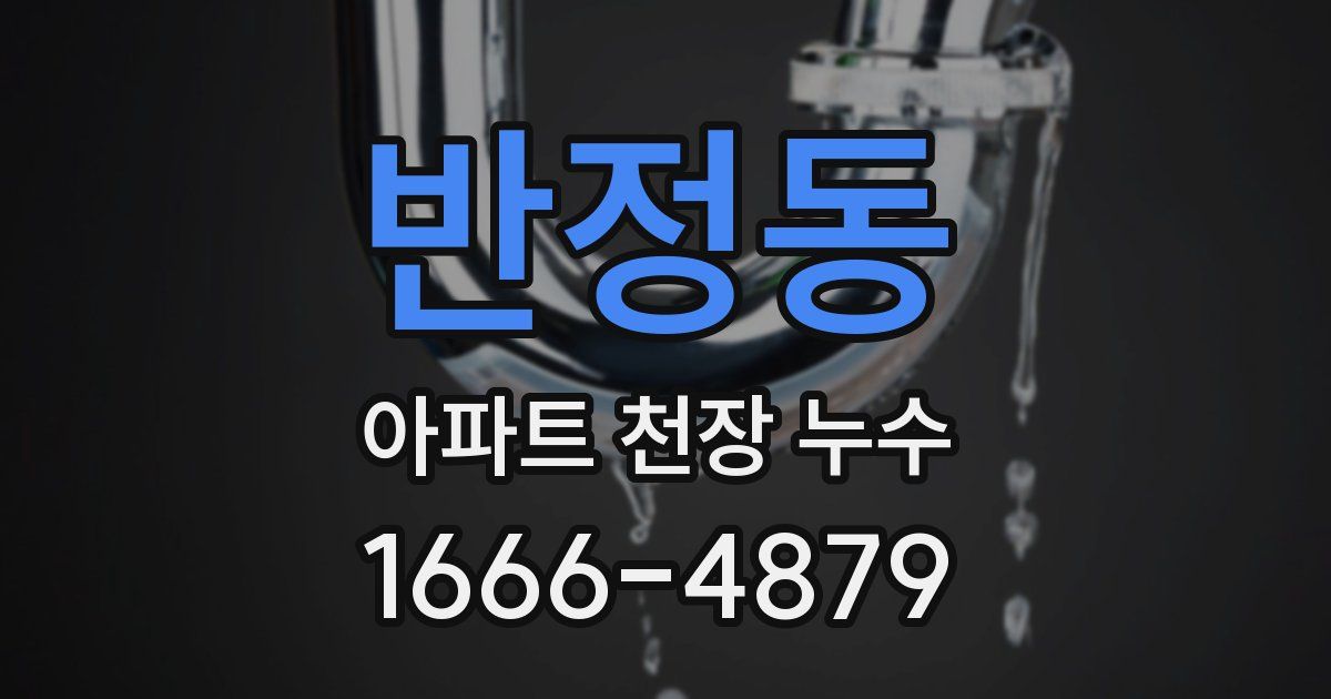 반정동 아파트 천장 누수
