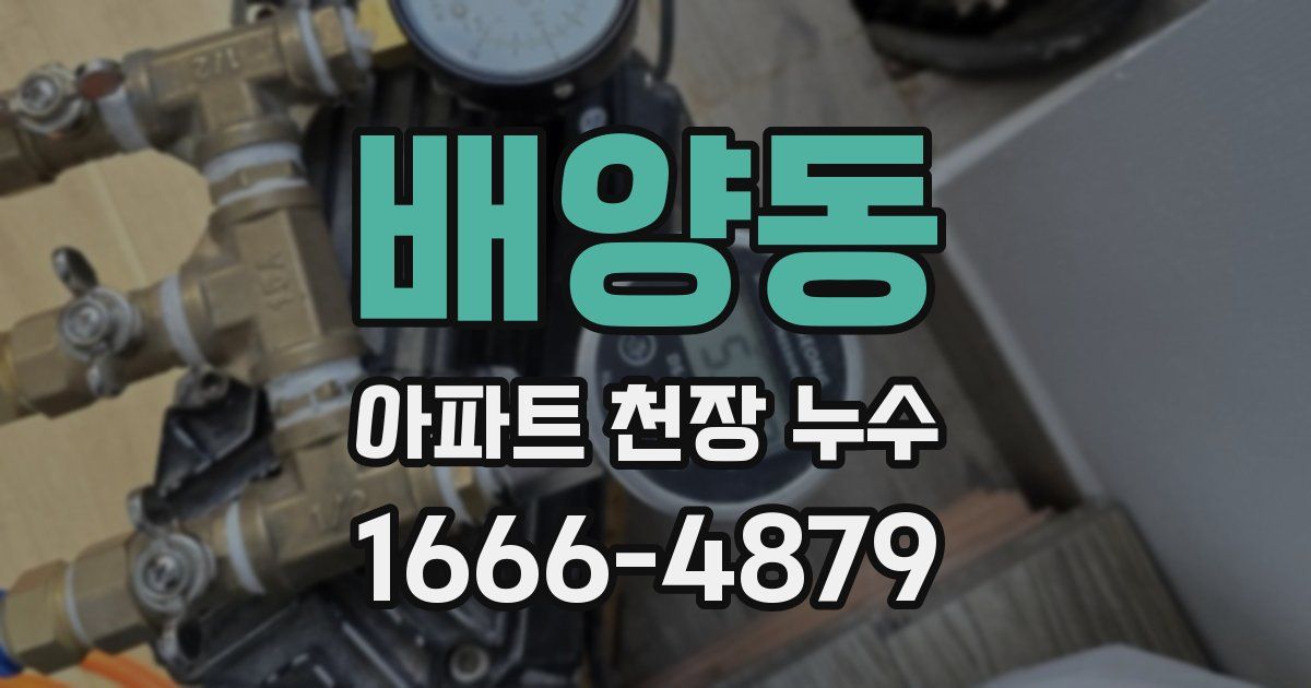 배양동 아파트 천장 누수