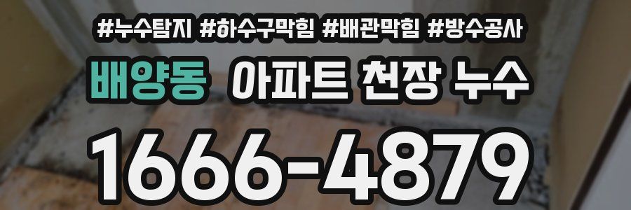 배양동 아파트 천장 누수