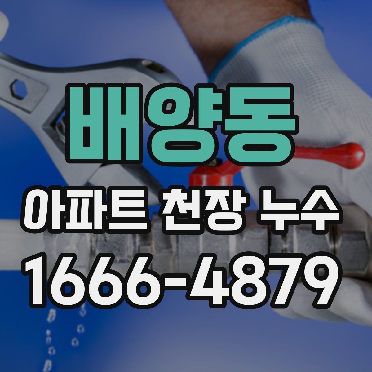 배양동 아파트 천장 누수