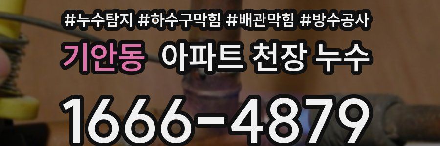 기안동 아파트 천장 누수