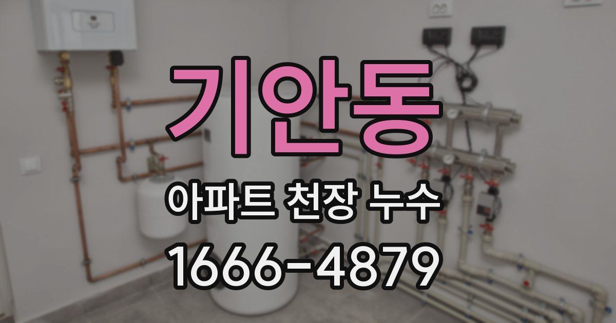기안동 아파트 천장 누수