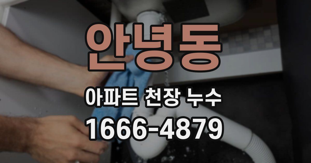 안녕동 아파트 천장 누수