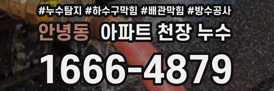 안녕동 아파트 천장 누수