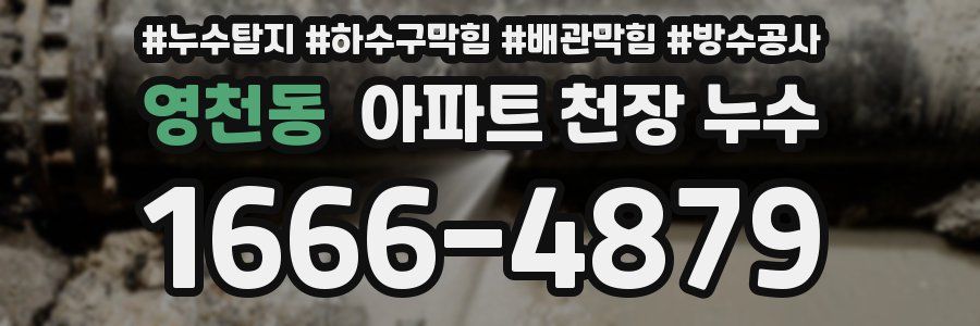 영천동 아파트 천장 누수