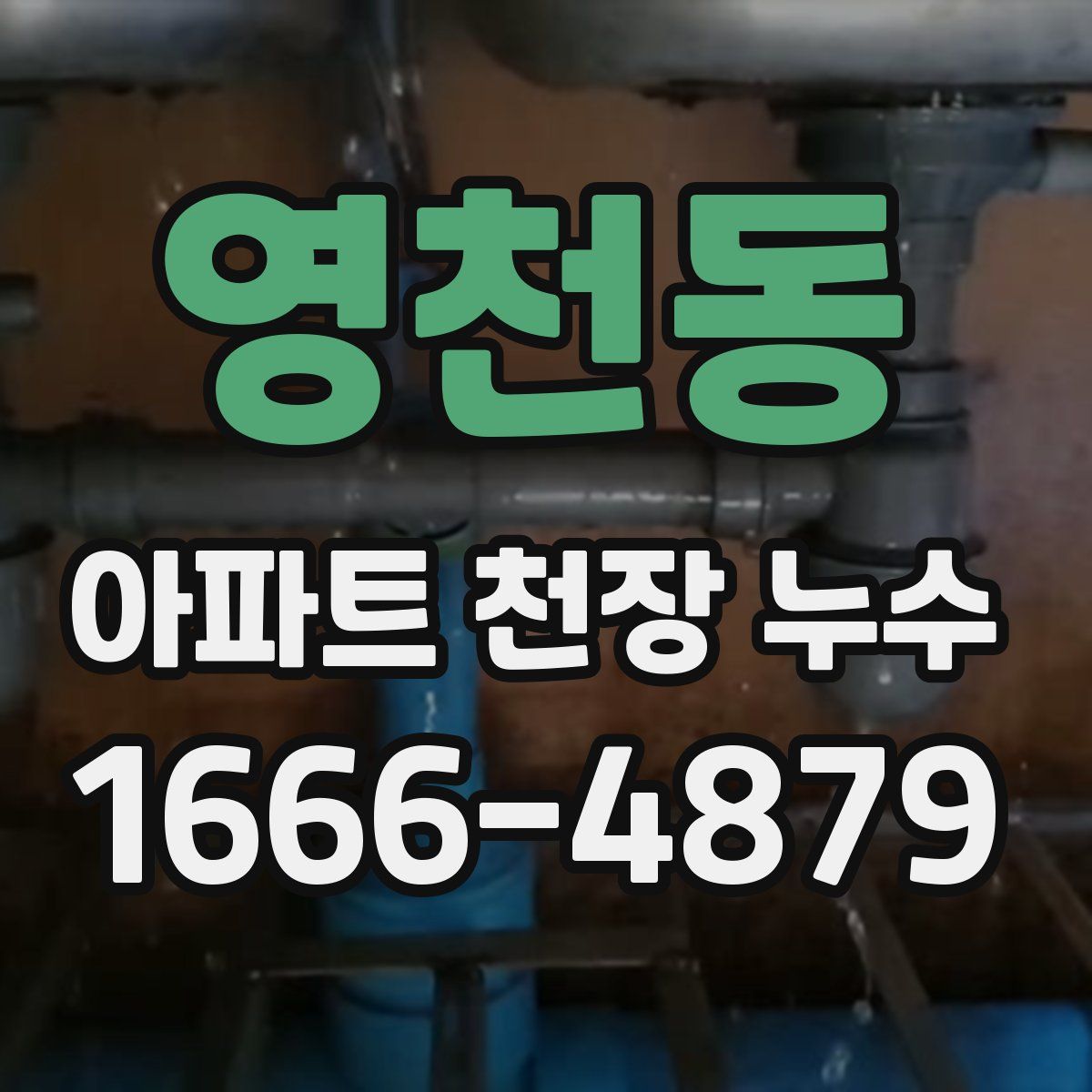 영천동 아파트 천장 누수