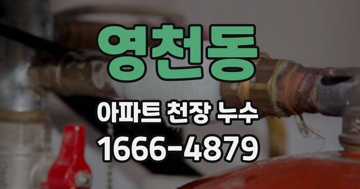 영천동 아파트 천장 누수