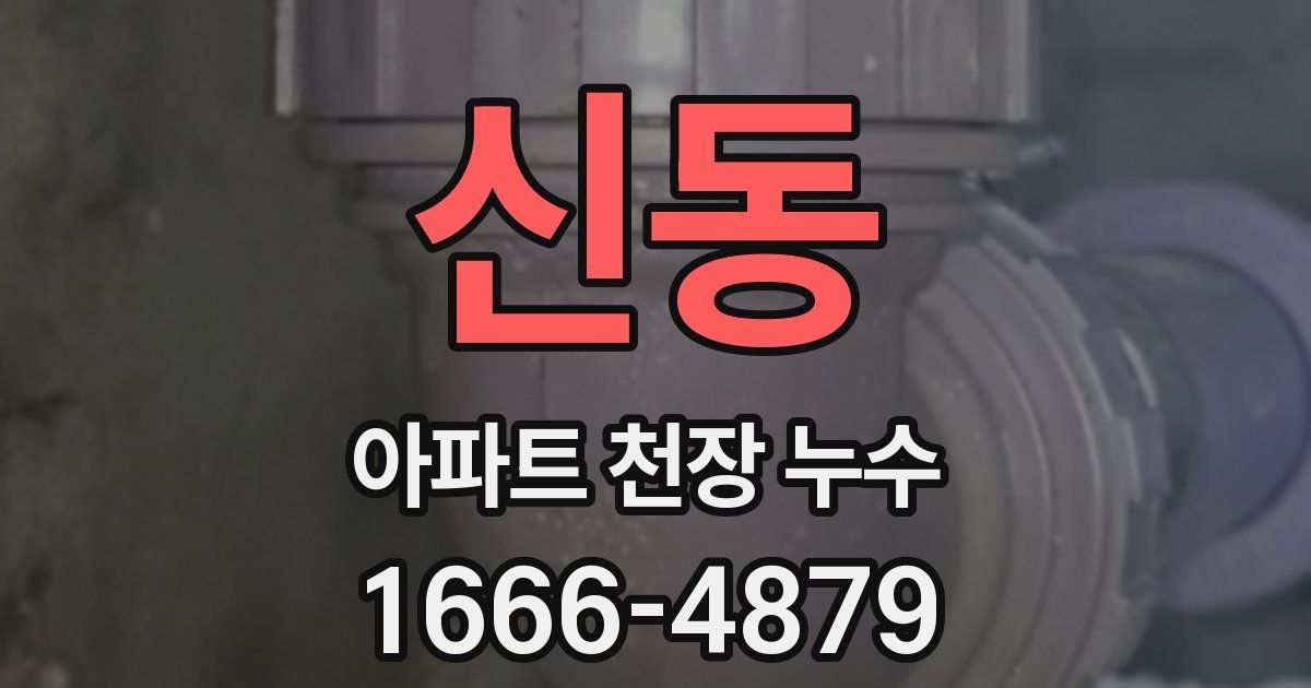 신동 아파트 천장 누수