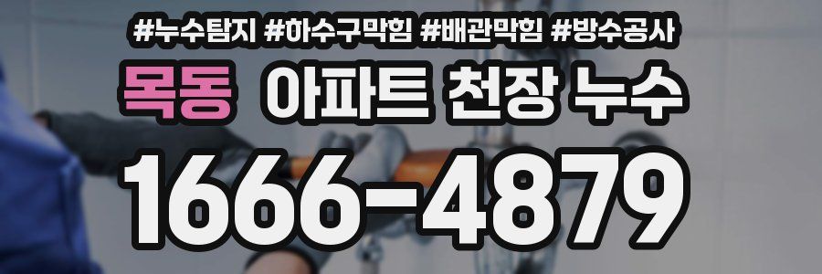 목동 아파트 천장 누수