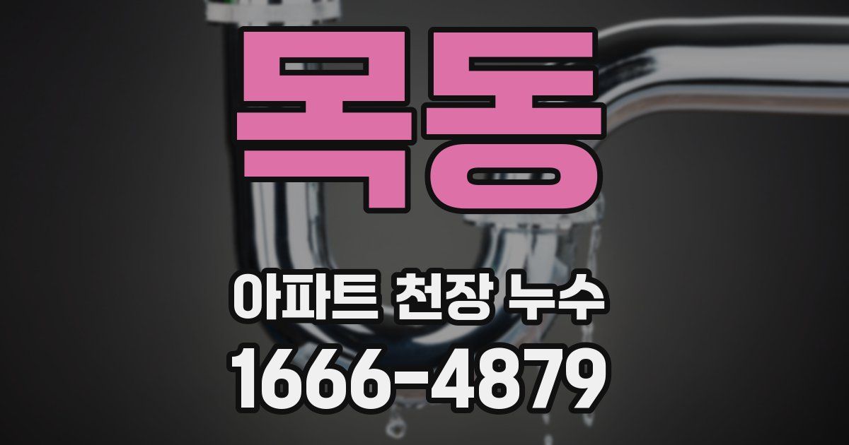 목동 아파트 천장 누수