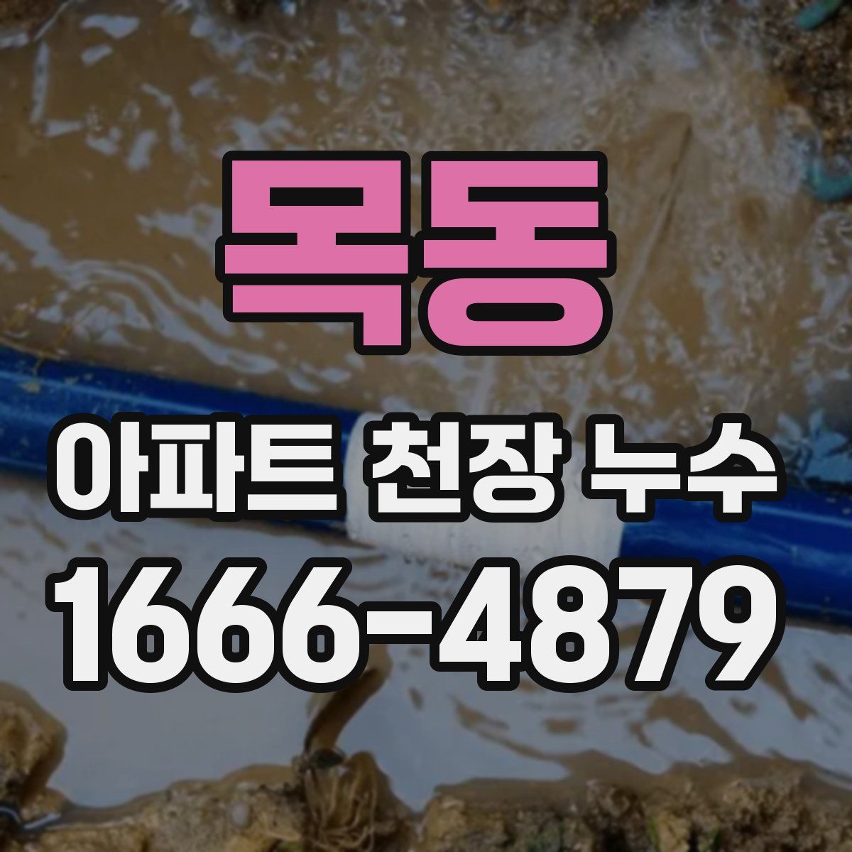 목동 아파트 천장 누수