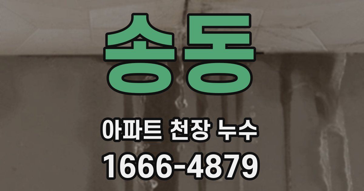 송동 아파트 천장 누수