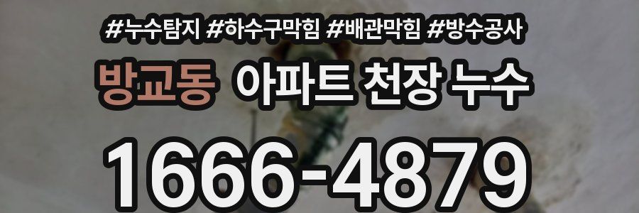 방교동 아파트 천장 누수