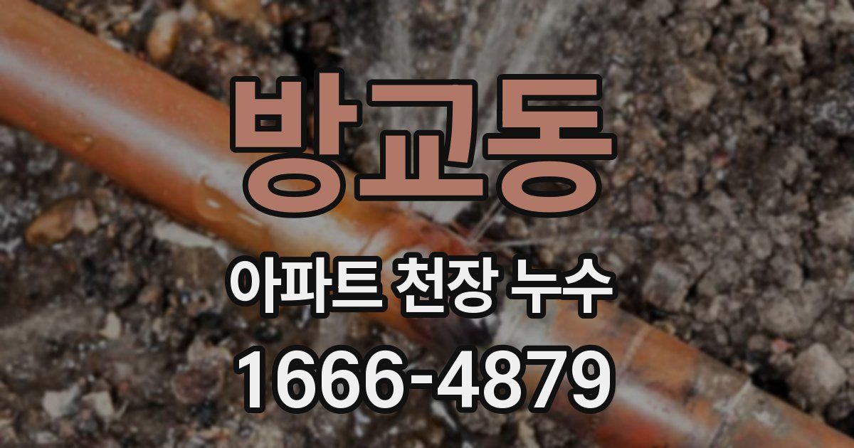 방교동 아파트 천장 누수
