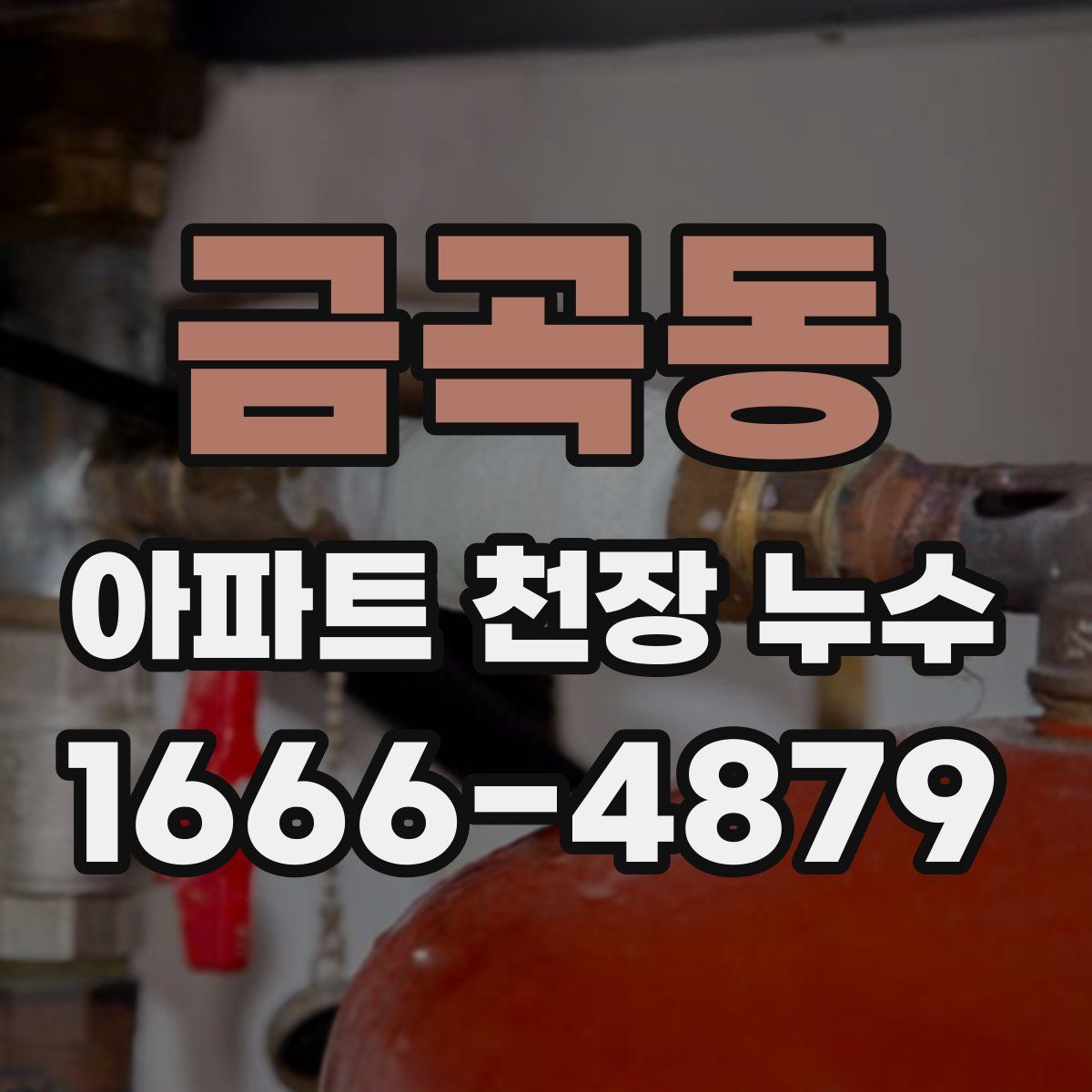 금곡동 아파트 천장 누수