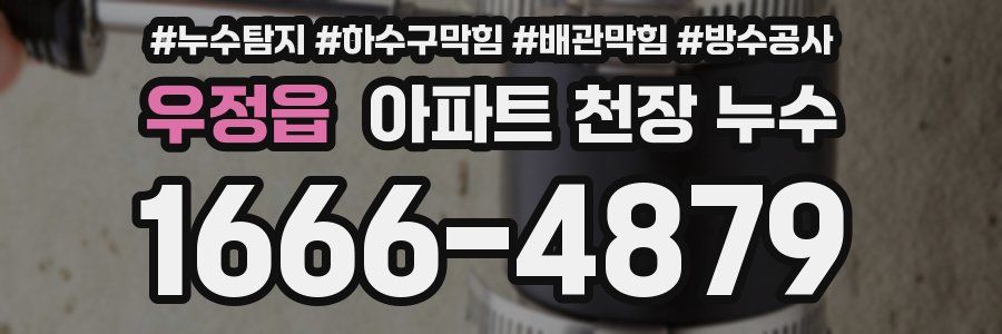 우정읍 아파트 천장 누수