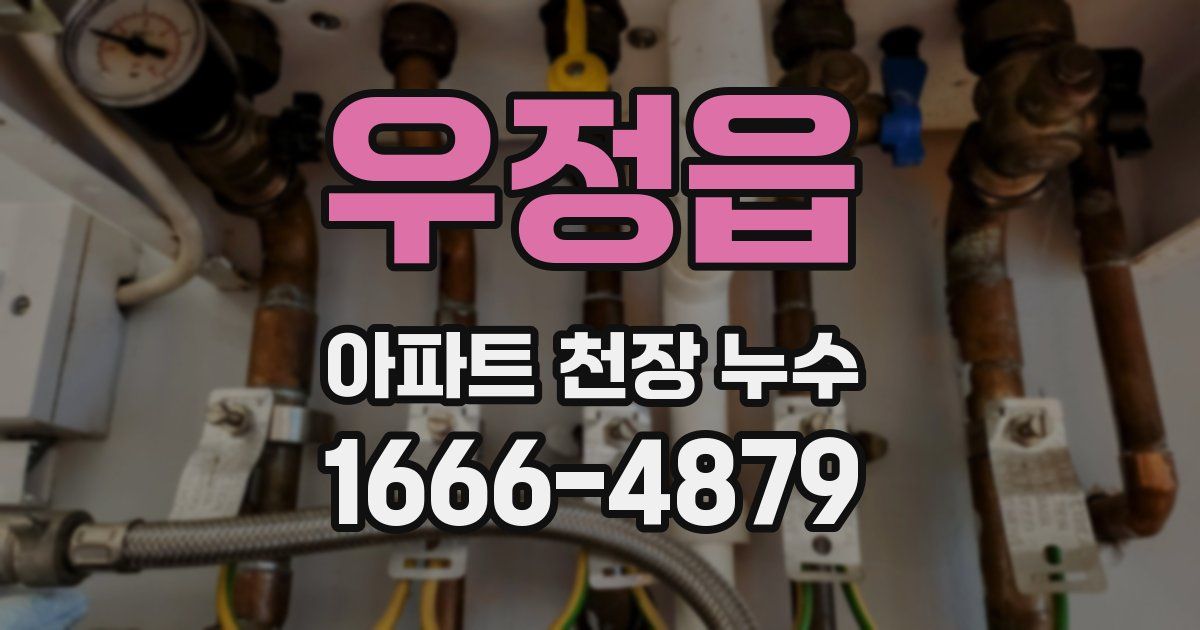 우정읍 아파트 천장 누수