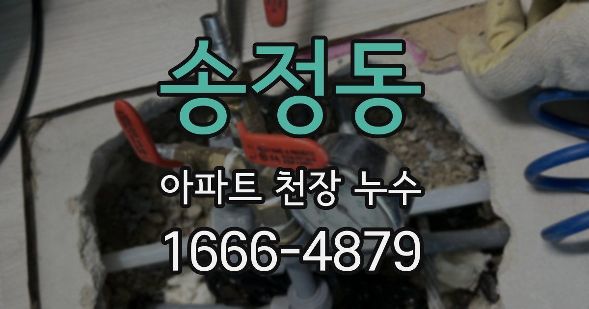 송정동 아파트 천장 누수