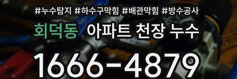 회덕동 아파트 천장 누수