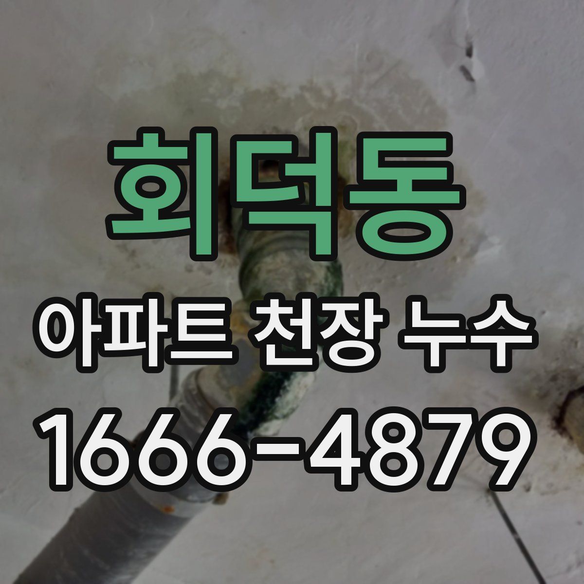 회덕동 아파트 천장 누수