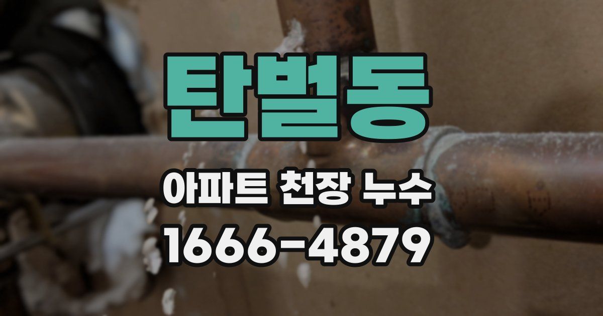 탄벌동 아파트 천장 누수