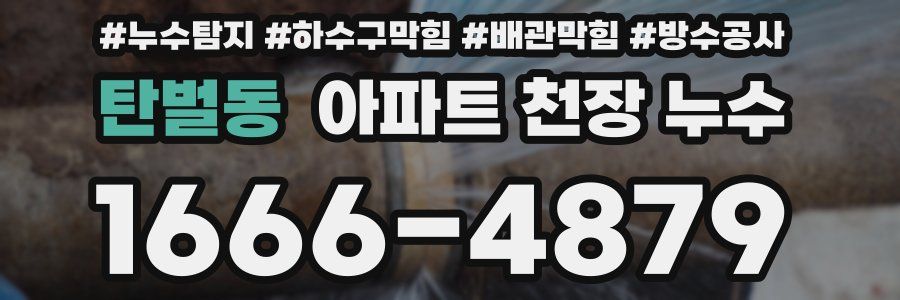탄벌동 아파트 천장 누수