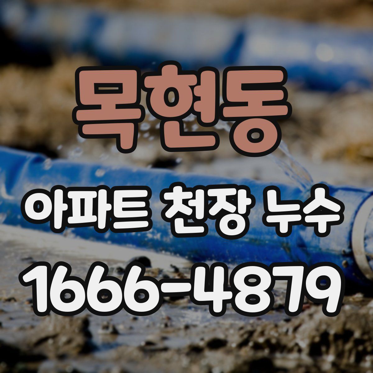 목현동 아파트 천장 누수