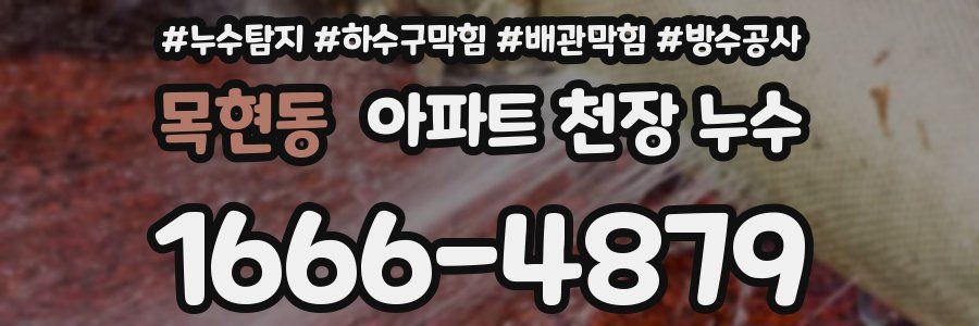목현동 아파트 천장 누수