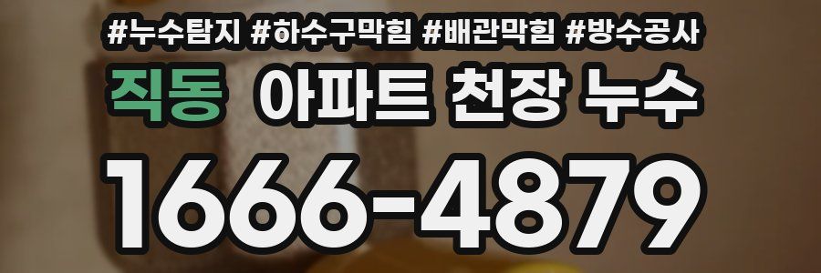 직동 아파트 천장 누수