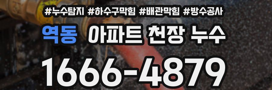 역동 아파트 천장 누수