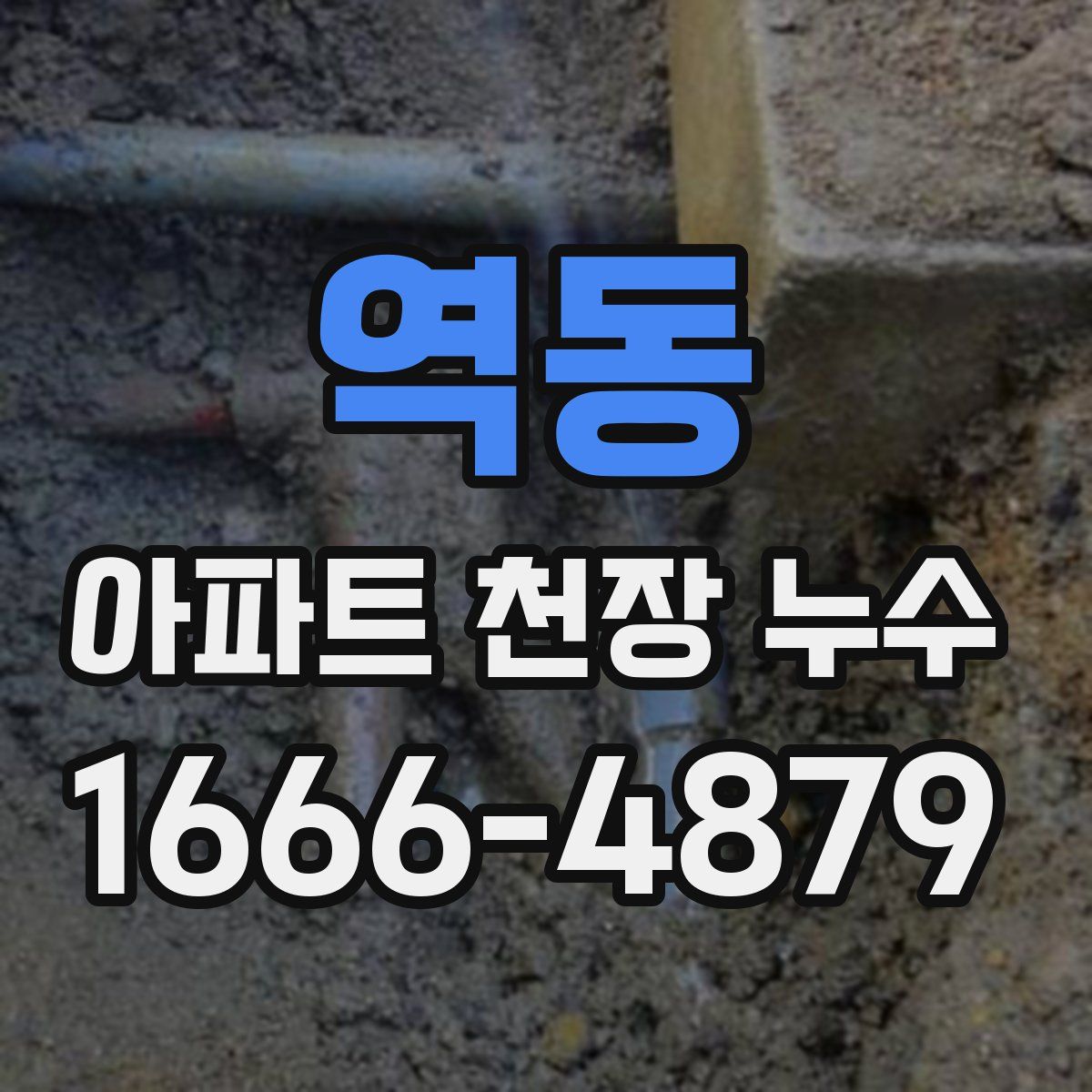 역동 아파트 천장 누수
