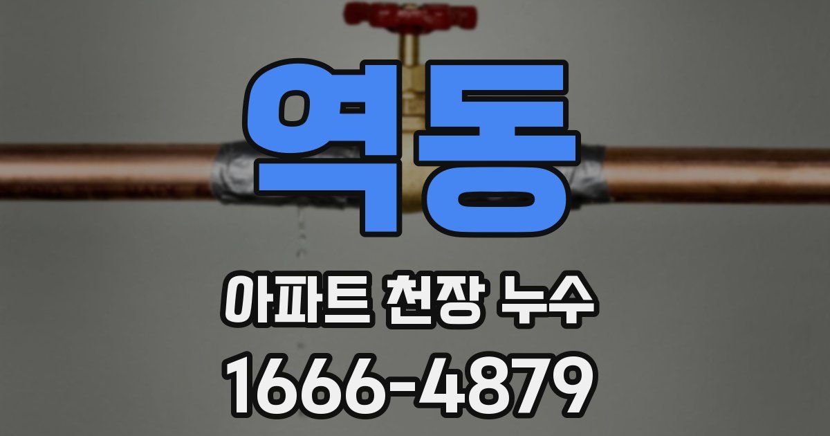 역동 아파트 천장 누수
