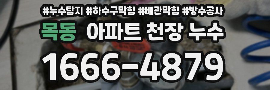 목동 아파트 천장 누수