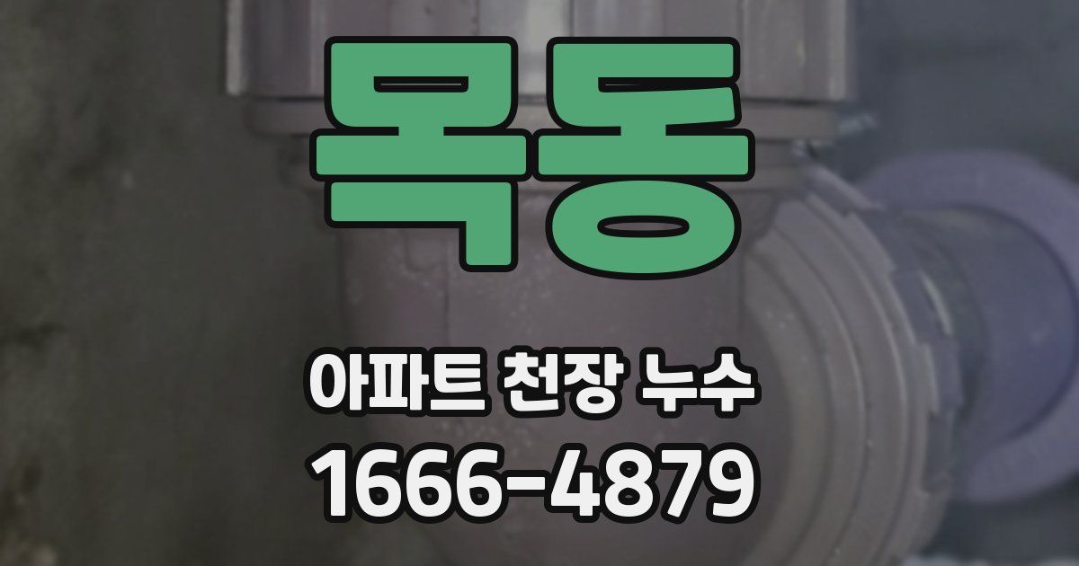 목동 아파트 천장 누수