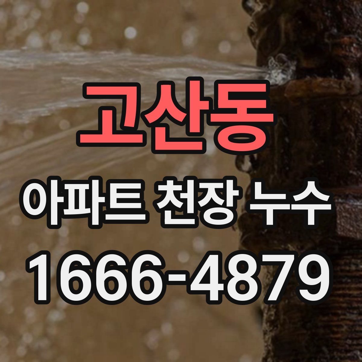 고산동 아파트 천장 누수