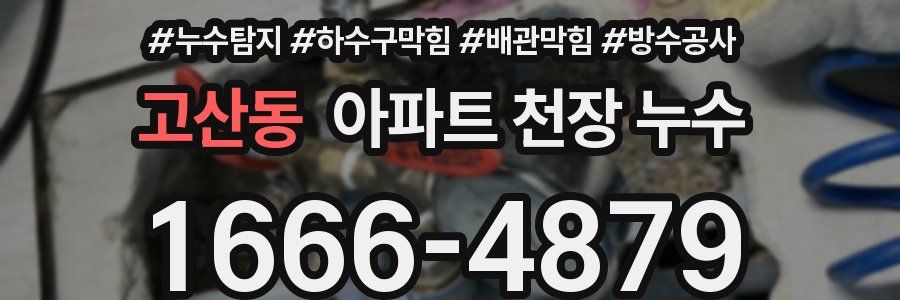 고산동 아파트 천장 누수