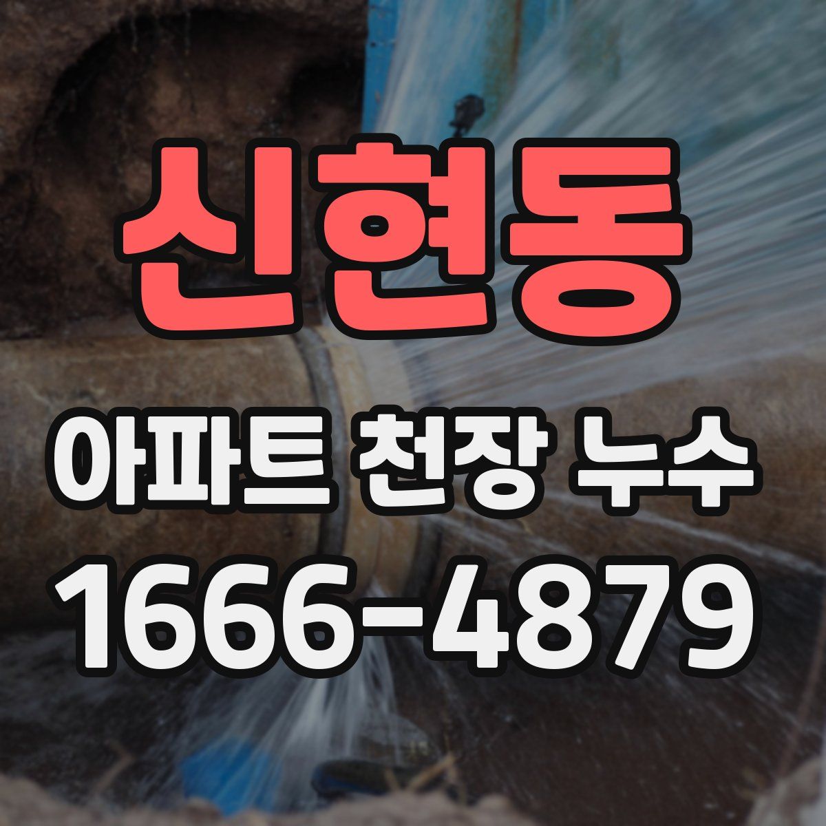 신현동 아파트 천장 누수