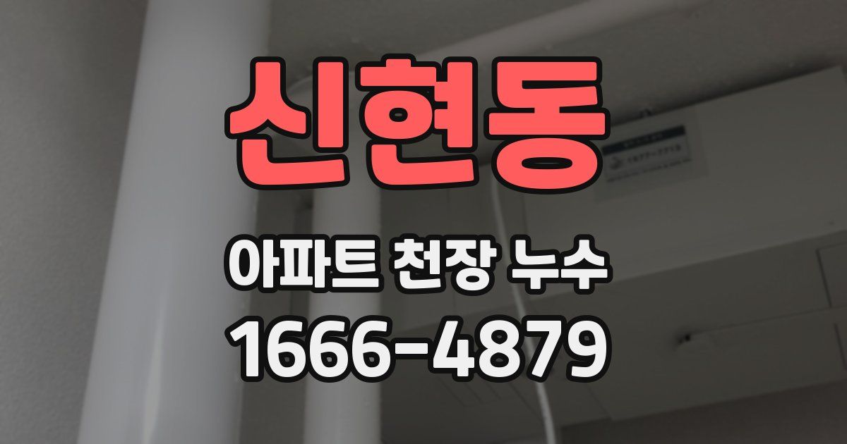 신현동 아파트 천장 누수